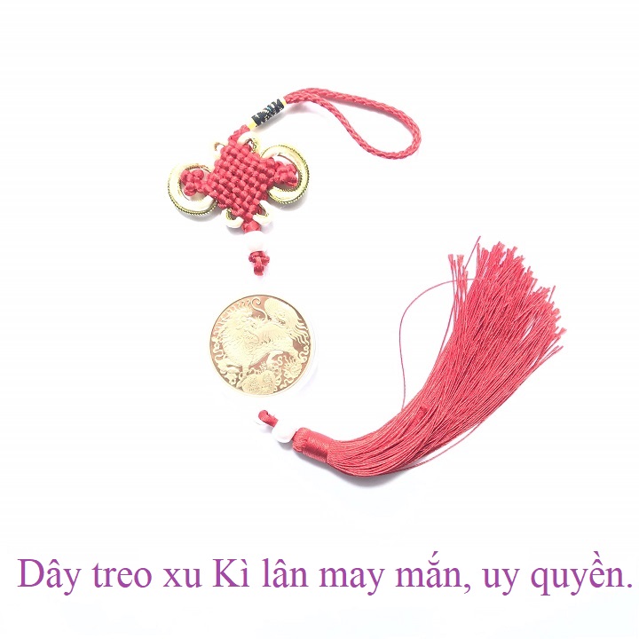 Dây treo xu hình con Kỳ lân, chất liệu Niken, chạm khắc tinh xảo, thu hút may mắn, cát tường - SP001140