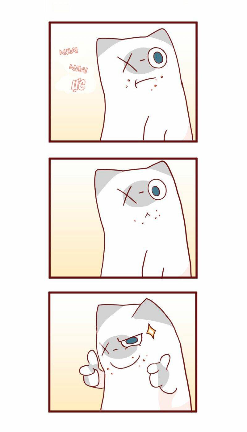 saphie: chú mèo một mắt chapter 11 9