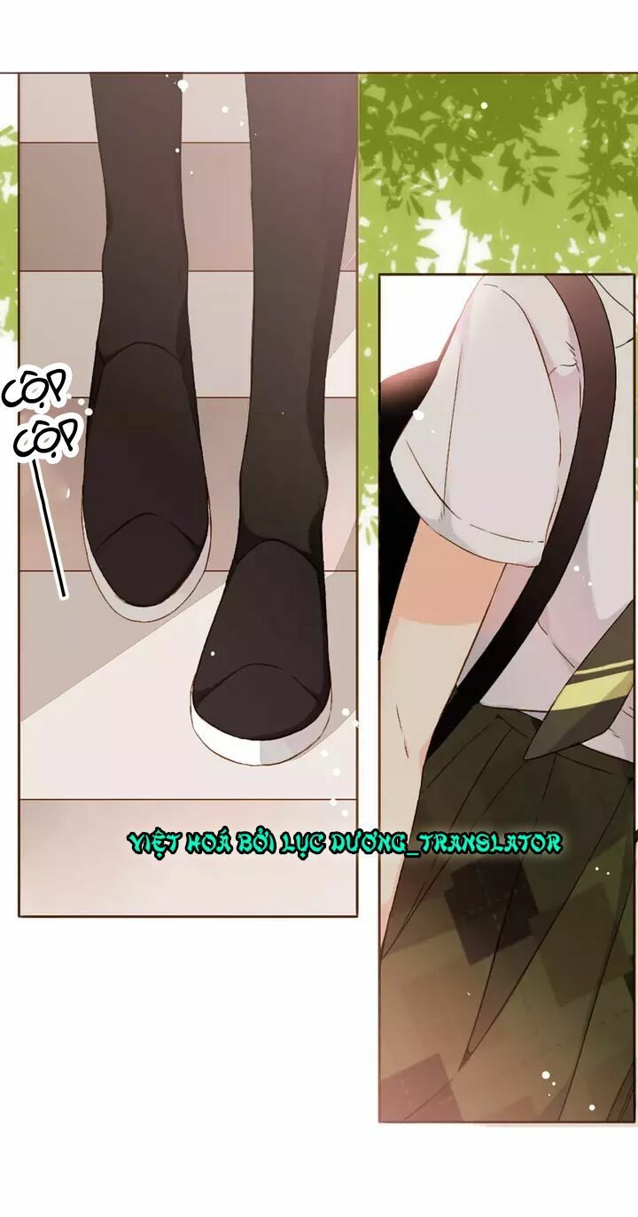 Tình yêu là màu hoa anh thảo chapter 32.1 1