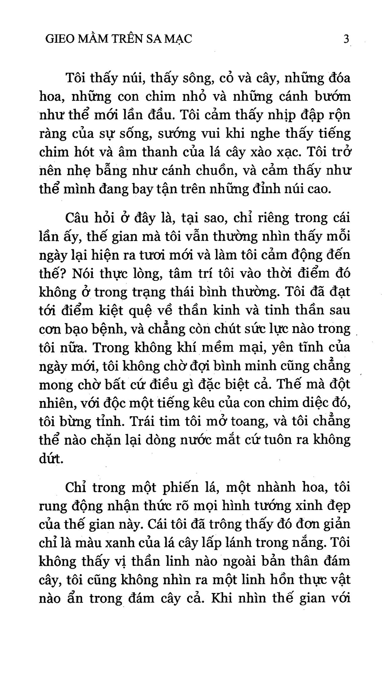 Gieo Mầm Trên Sa Mạc