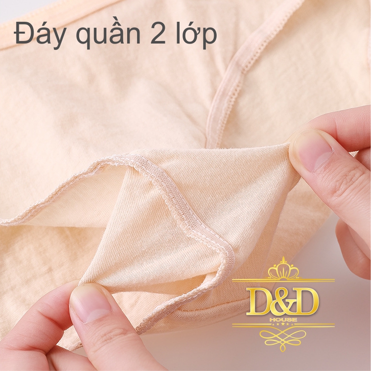 Combo 7 quần lót cotton nữ nhiều màu du lịch dùng 1 lần