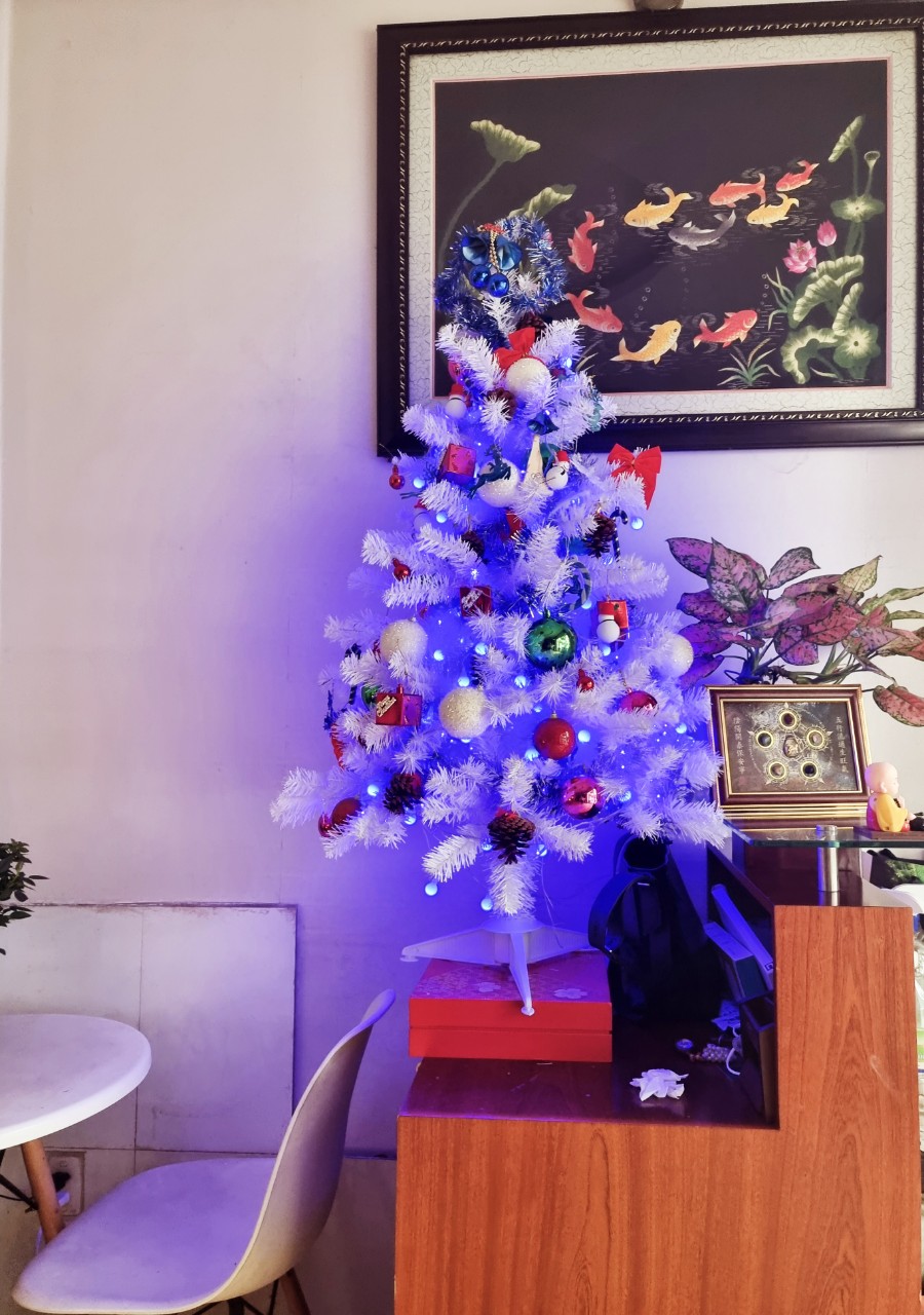 Cây thông noel màu trắng 1m2 - Tán dày và đẹp, cây thông chắc chắn và dể tháo lắp
