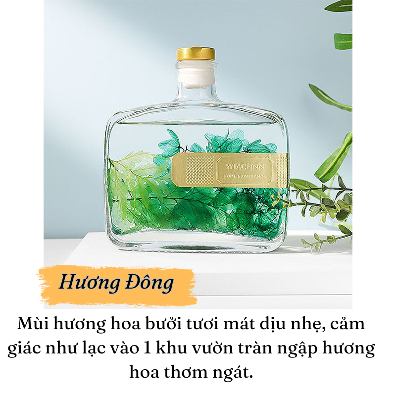 Tinh Dầu Thơm Phòng khuếch tán cắm que bản mới 200ml Hương Liệu Thiên Nhiên Tự Khuếch Tán khử mùi không khí