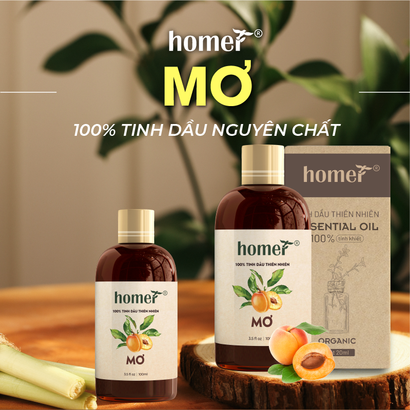 Tinh Dầu Mơ Homer 100ml - Tinh Dầu Xông Thơm Phòng, Thư Giãn Khử Mùi- Tinh Dầu Trái Cây Thiên Nhiên.