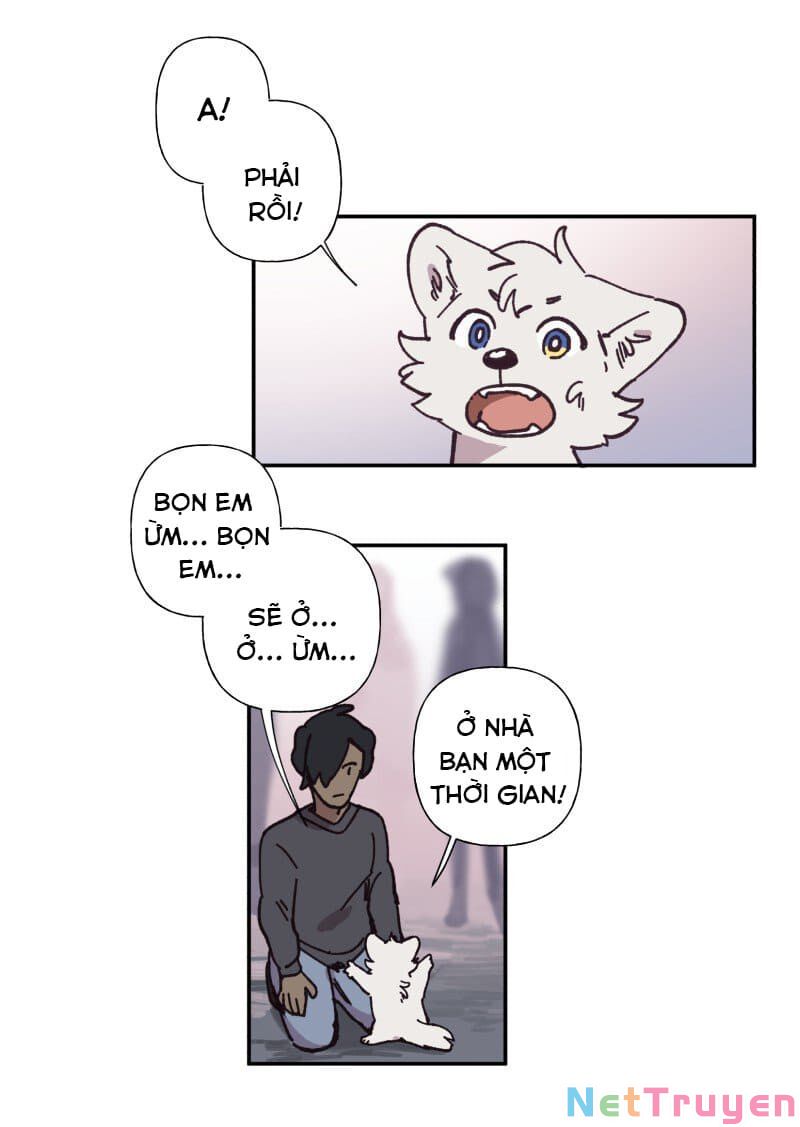 lumine - cội nguồn ánh sáng chapter 82 6