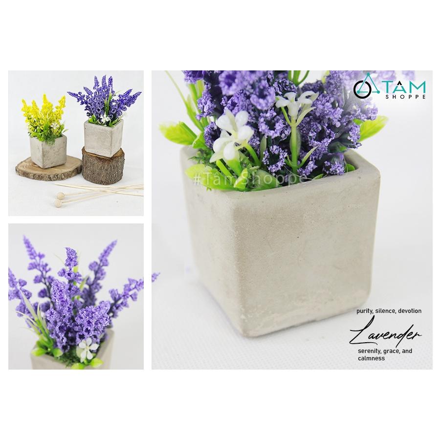 Chậu hoa lavender giả đề bàn hoa xốp chậu xi măng CHDB-105