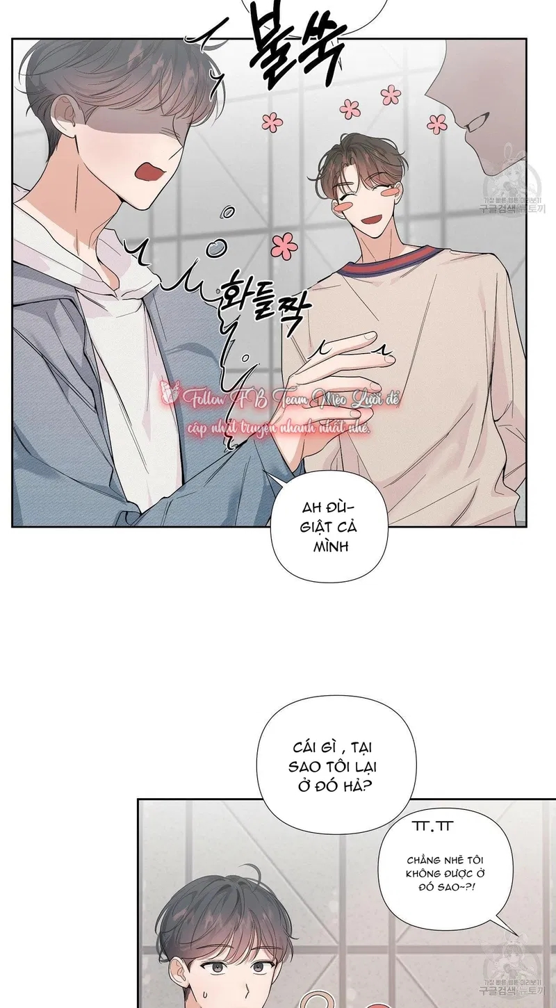 đừng bận tâm, em yêu chapter 1 23