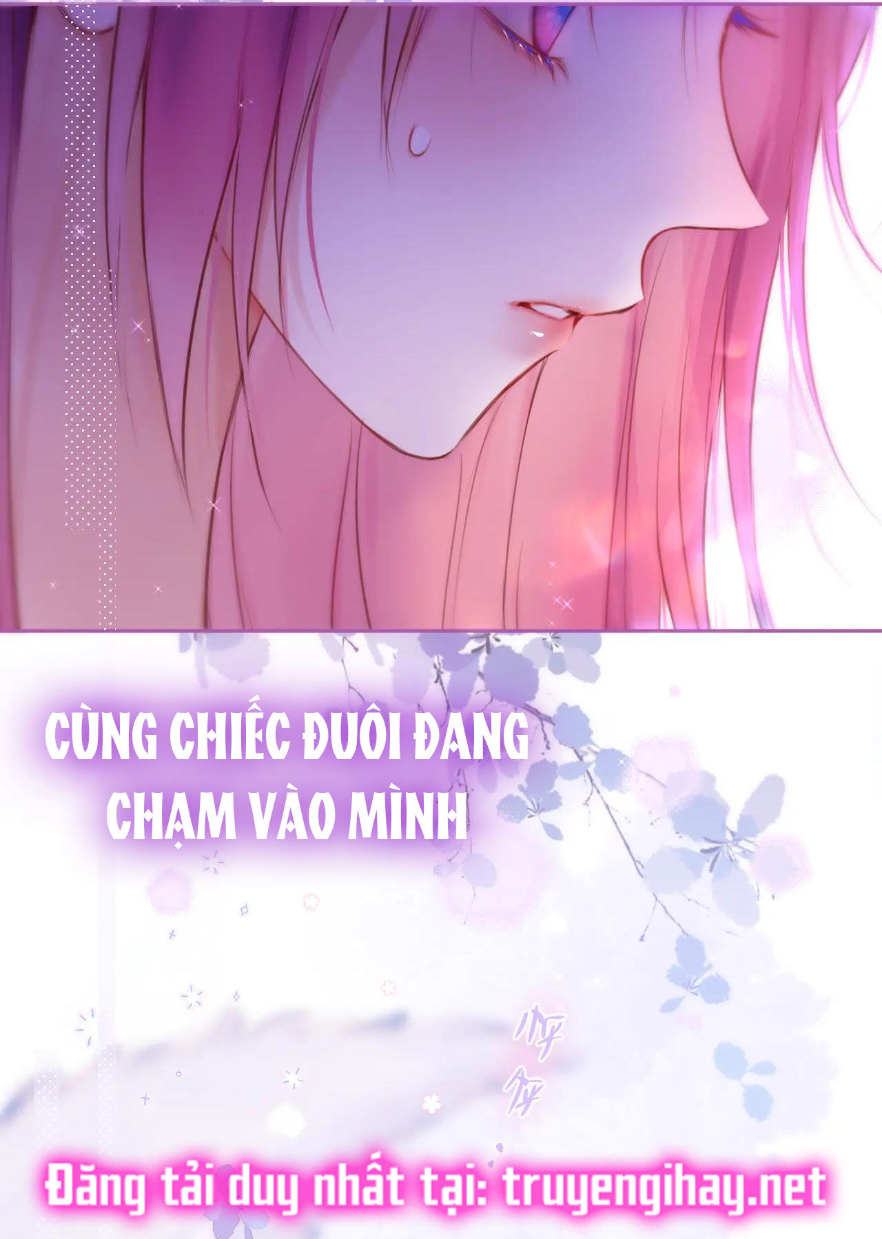 cạm bẫy của hồ ly chapter 36.2 31