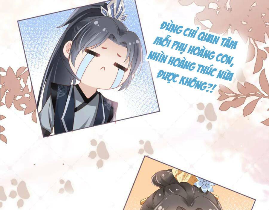 nhặt được bảo bối manh manh chapter 0 35