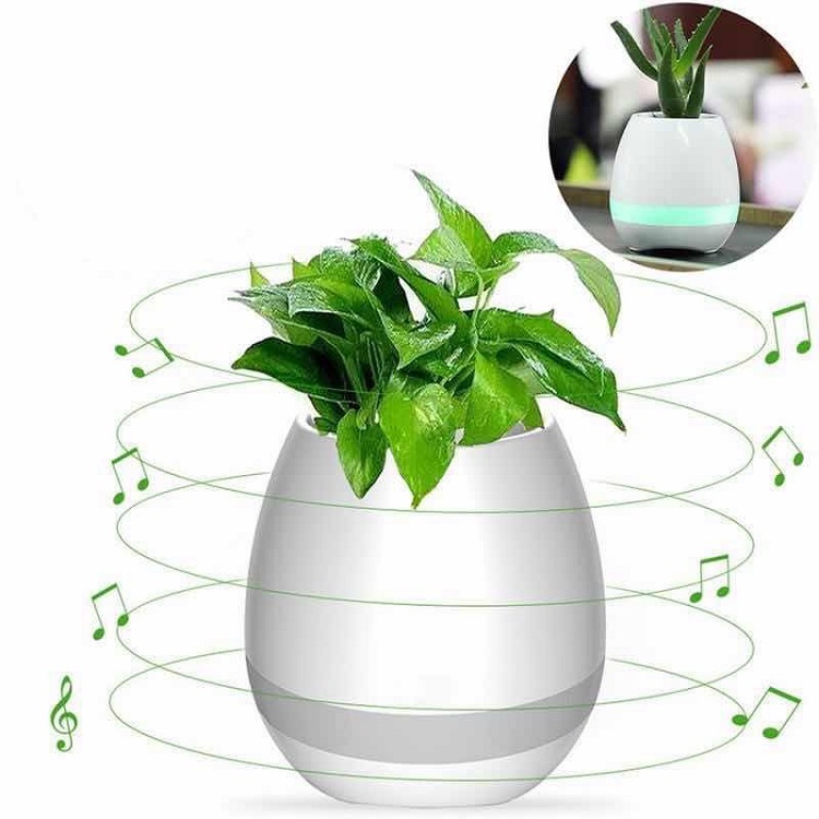 Loa Bluetooth Kiêm Chậu Cây Cảm Ứng Phát Nhạc Trên Lá
