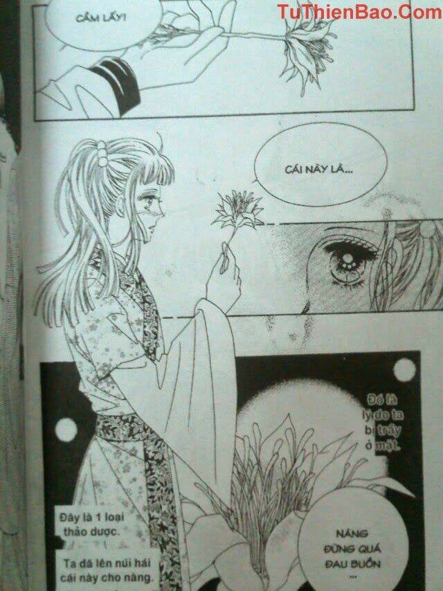 tình trong mộng chapter 8 15