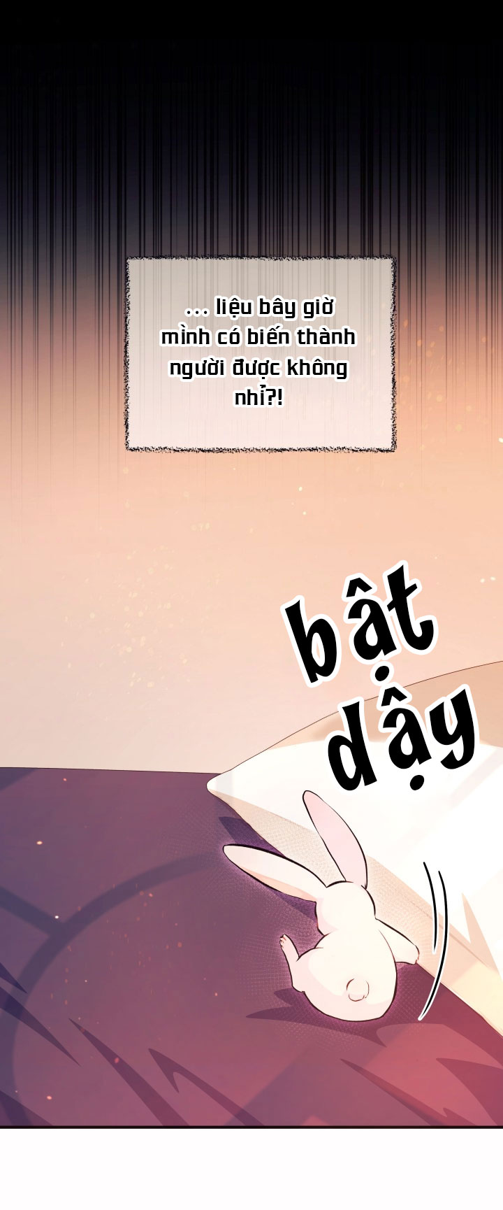 mối liên kết giữa báo đen và bé thỏ chapter 5 37