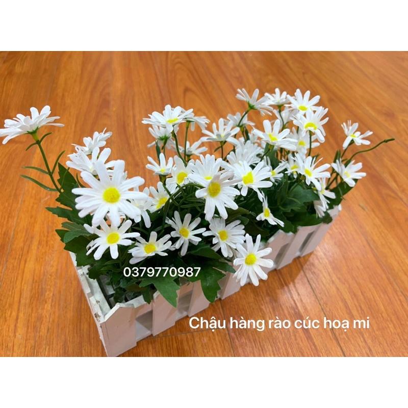Chậu hàng rào gỗ cắm sẵn hoa decor
