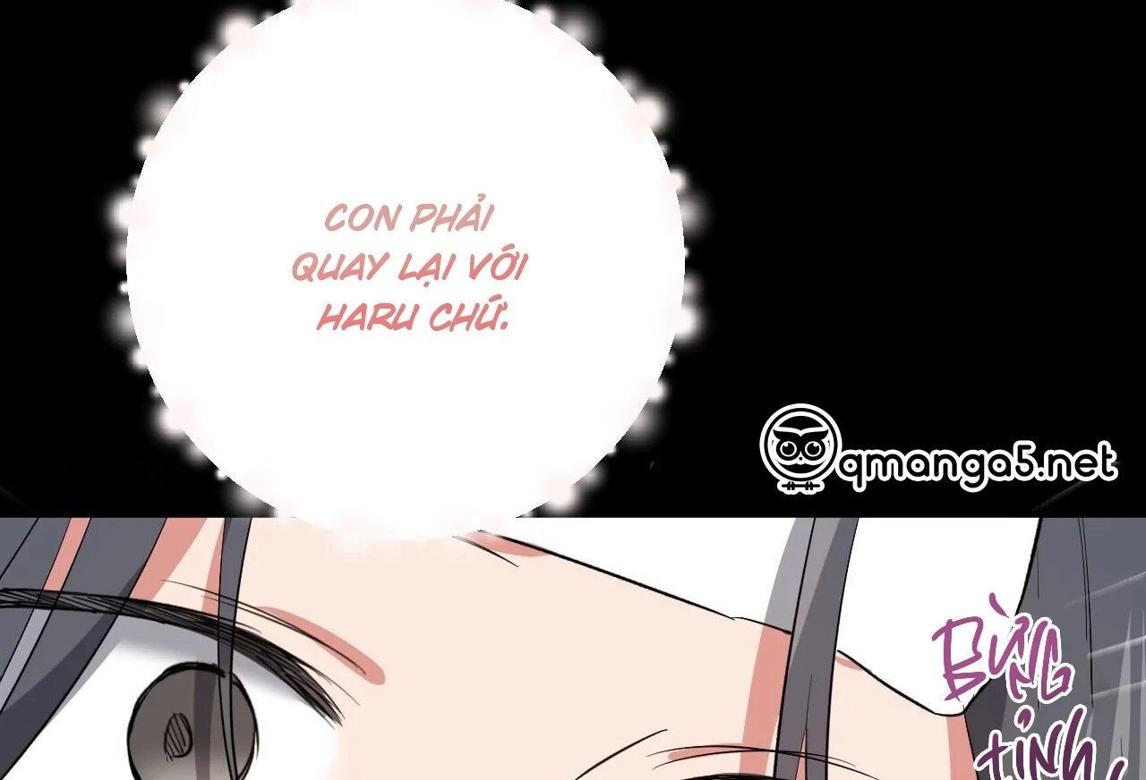 những chú thỏ của hapypy chapter 65 72