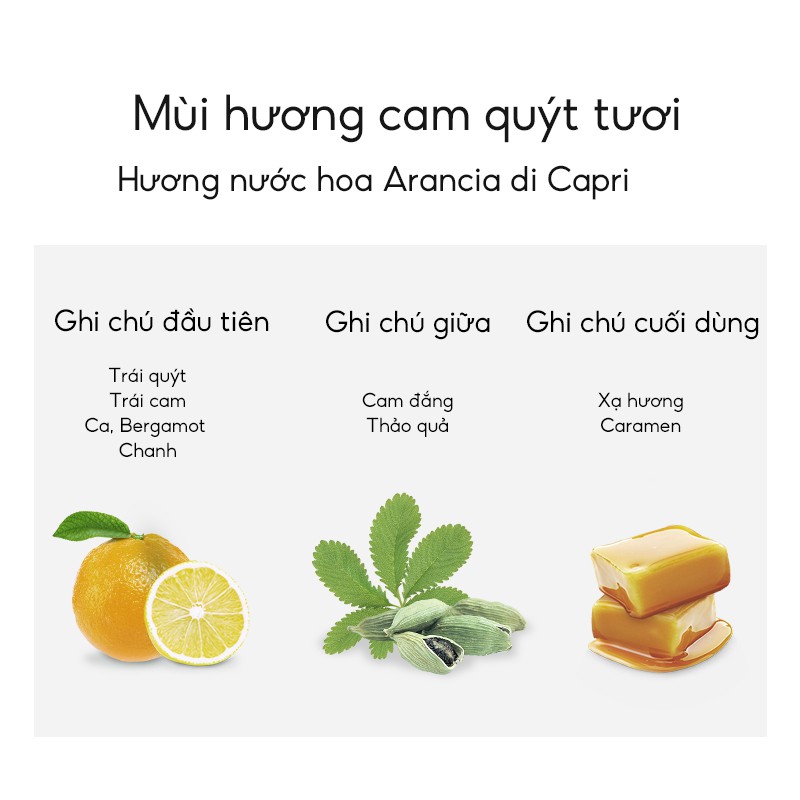 Set of Kem chống nắng 60ml + Sữa rửa mặt Perfect Diary Axit amin 200ml Tiết Kiệm