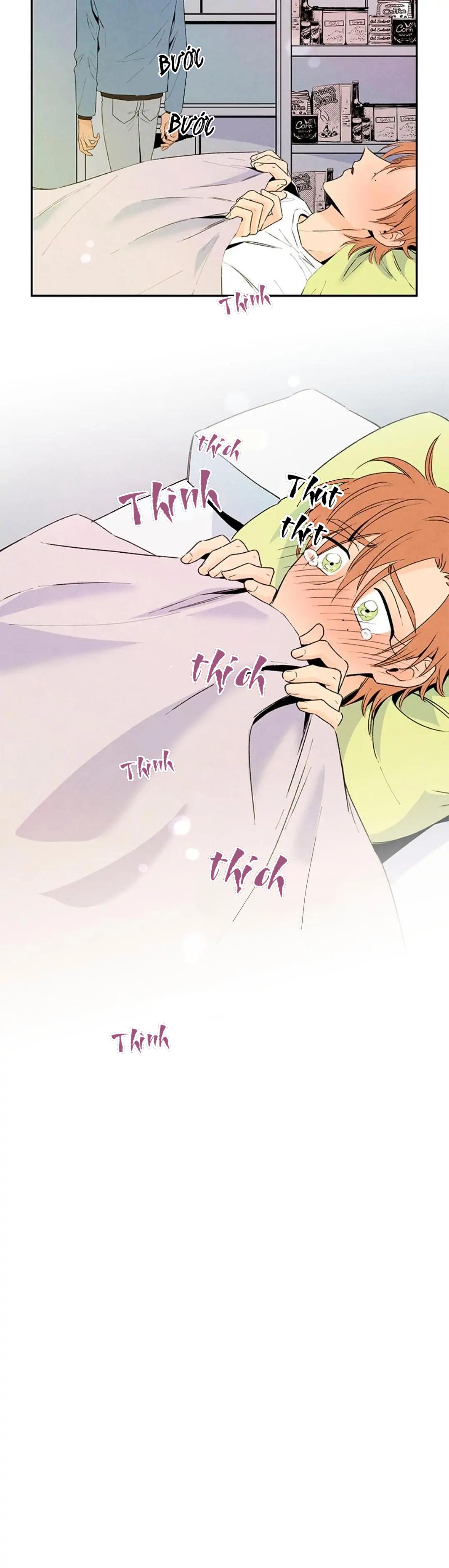 bona sort chapter 32 19