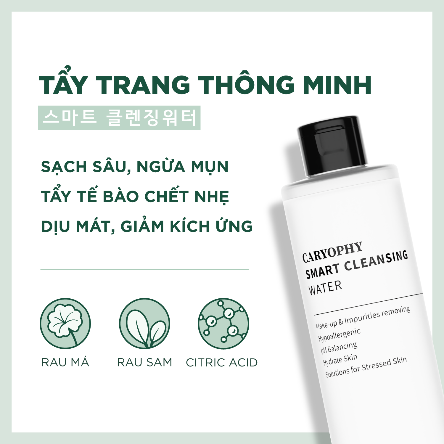 Nước tẩy trang Caryophy smart cleansing water 300ml