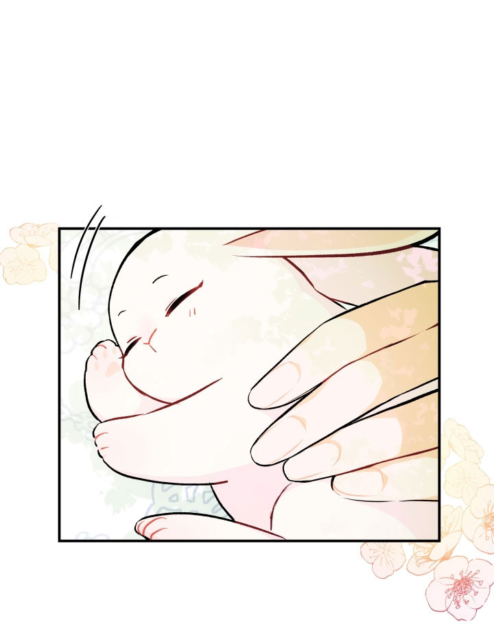 mối liên kết giữa báo đen và bé thỏ chapter 5 16