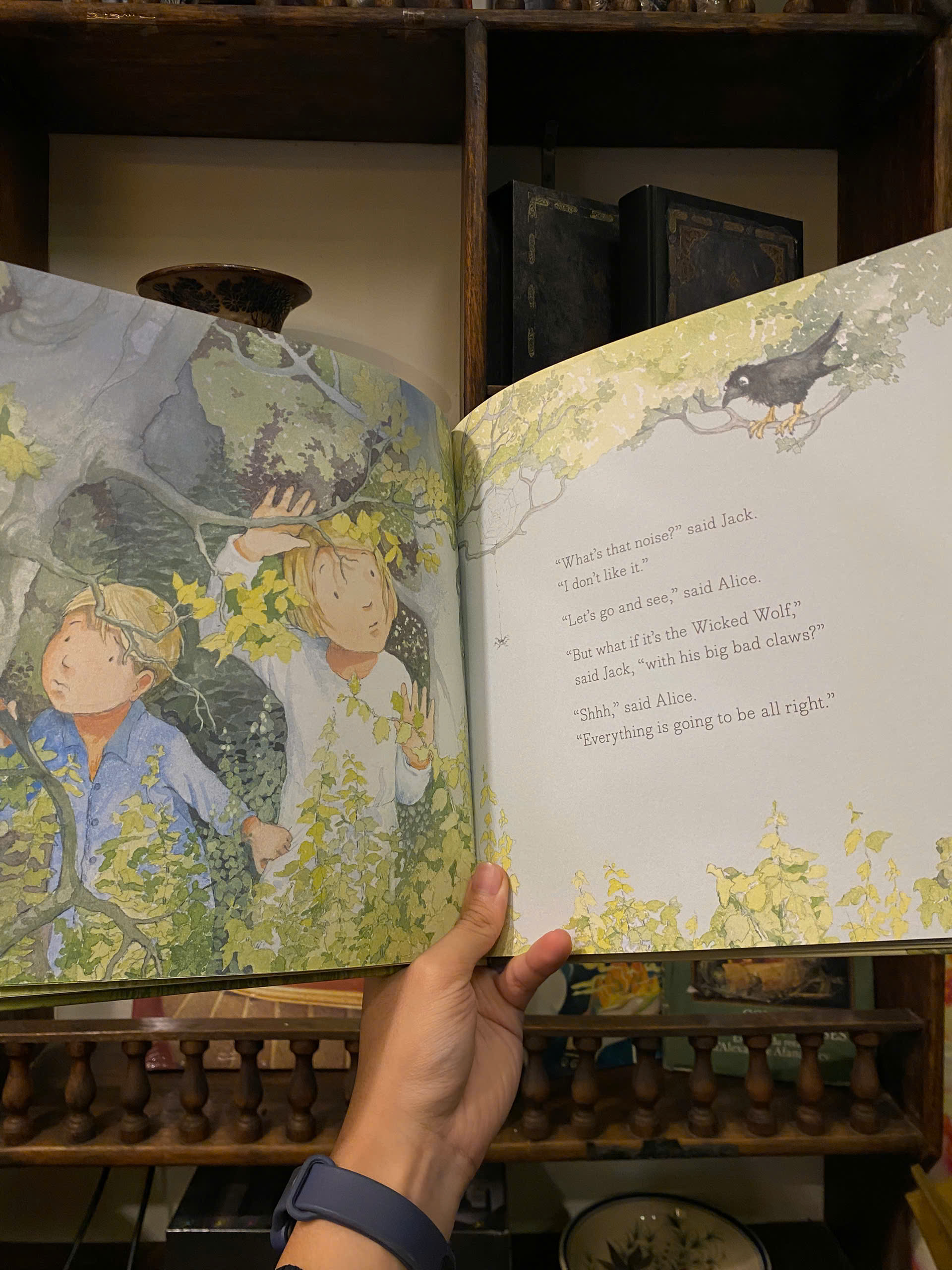 Sách - Time Now to Dream by Timothy Knapman - Children Picture book in English - Bìa Cứng