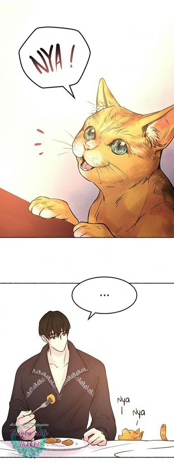 như gió trên cành cây khô chapter 6 43