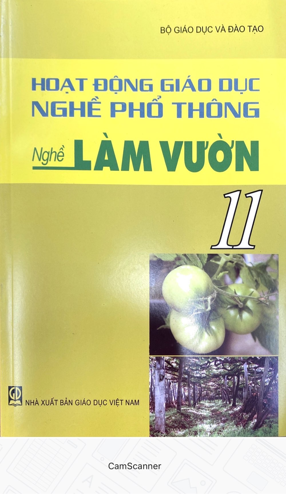 Hoạt động giáo dục nghề phổ thông - Nghề Làm vườn 11