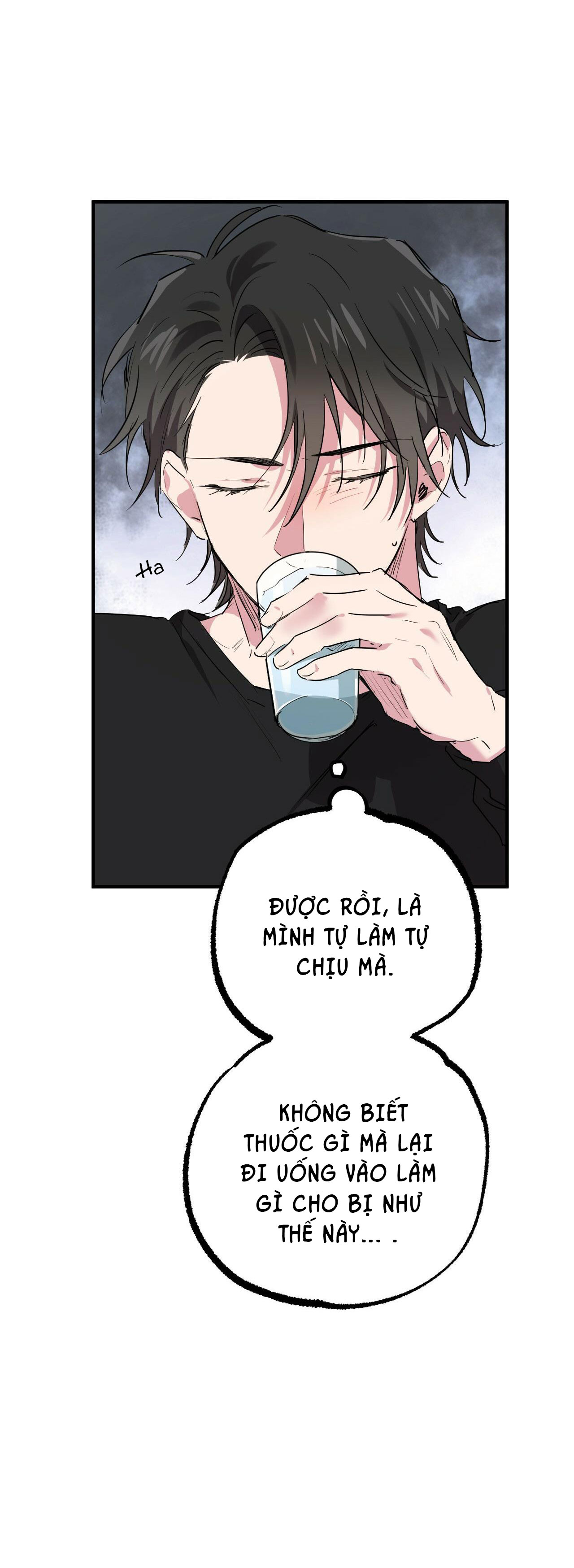 những chú thỏ của hapypy chapter 13 19