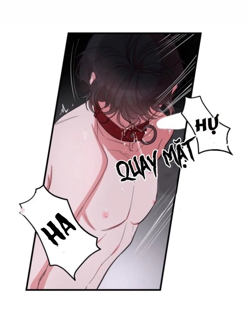 người tình dâm đãng của tôi chapter 4 41