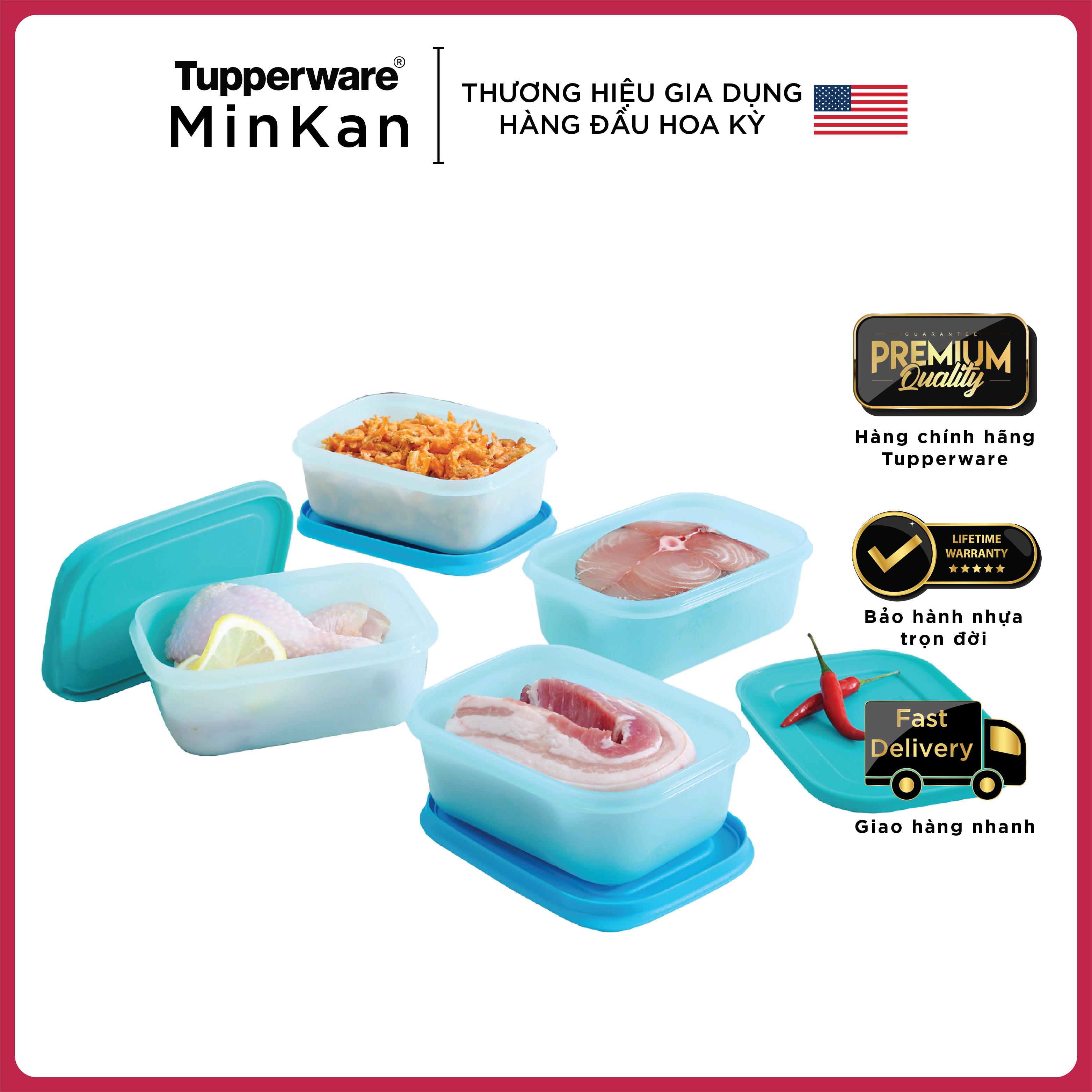 Bộ hộp trữ đông Tupperware Freezermate Gen II 450ml (set 4)