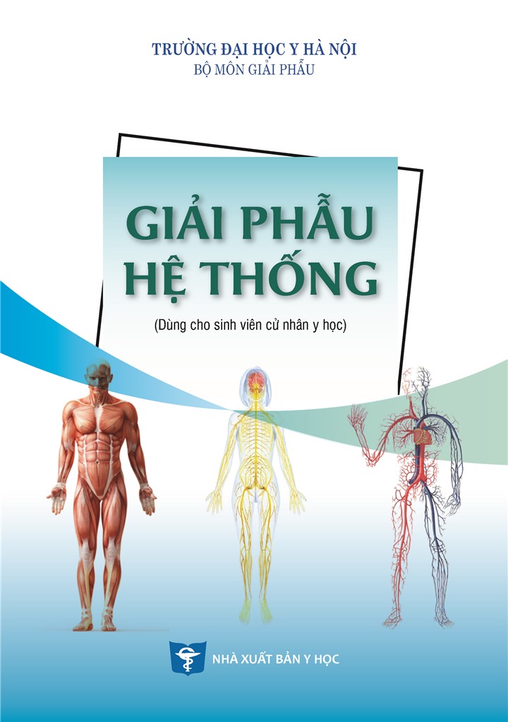 BENITO - Giải phẫu hệ thống (Dùng cho sinh viên cử nhân y học)