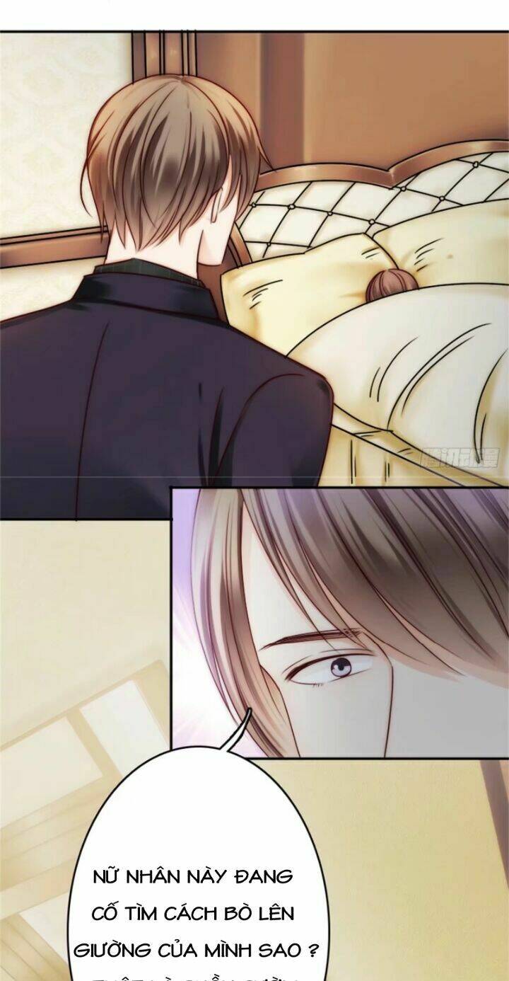 thất ức kiều thê sủng ái ký chapter 4 42