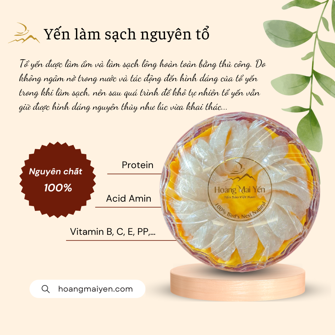 Yến rút lông nguyên tổ 100g