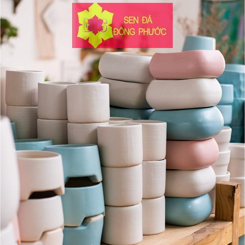 Chậu sứ cao cấp hình tô các màu - chậu trồng tiểu cảnh sen đá, xương rồng, cây phong thuỷ văn phòng đẹp