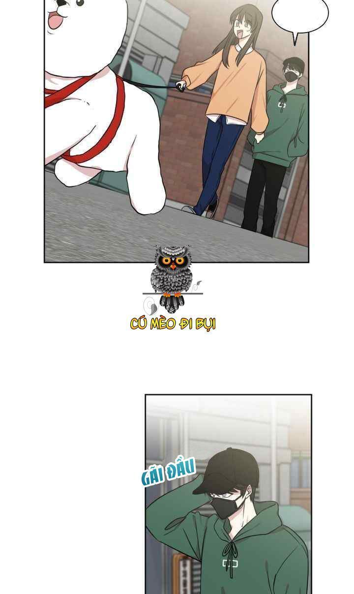 idols sống trong nhà tôi! chapter 3 49