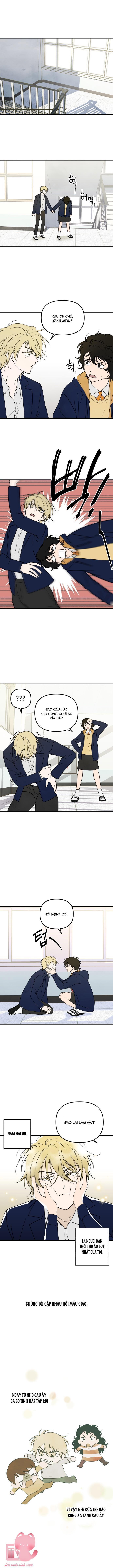 cấm cậu ăn tớ chapter 1 5