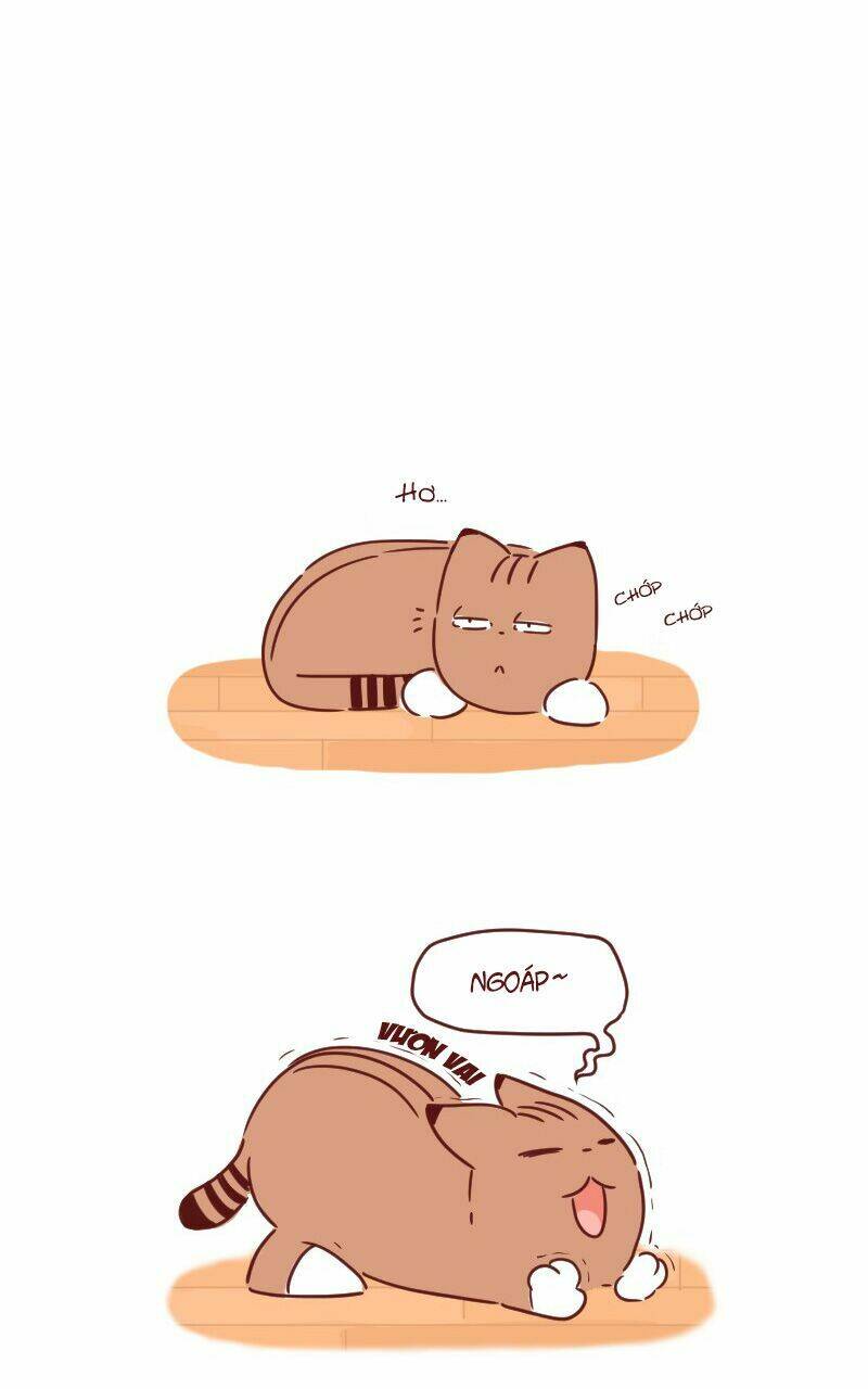 saphie: chú mèo một mắt chapter 29 2