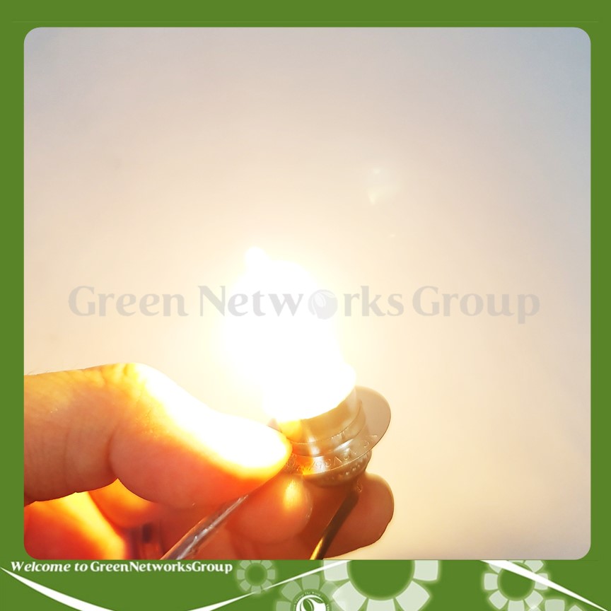 Bóng đèn Halogen Chân M5 12V 35/35W P15D-25-1 VC Green Networks Group