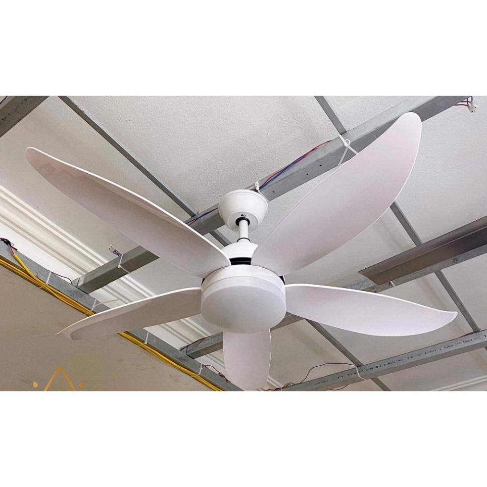 Quạt Trần CERATA 6 tiêu chuẩn mức độ Gió - Công Xuất 90W khuyến mãi kèm theo Móc cao su thiên nhiên Treo Quạt Có Đèn L