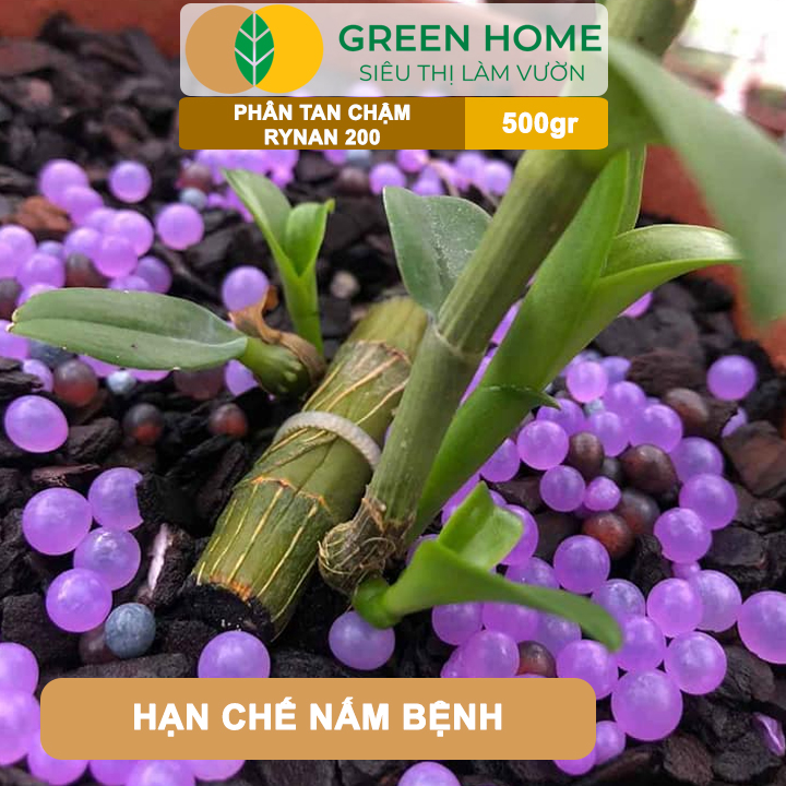 Phân Tan Chậm GreenHome, Rynan 200, Bao 500gr, Dành Cho Giai Đoạn Phong Lan Cây Con, Kích Chồi