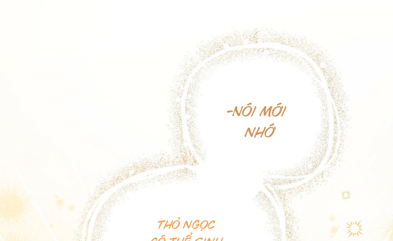 những chú thỏ của hapypy chapter 52 93