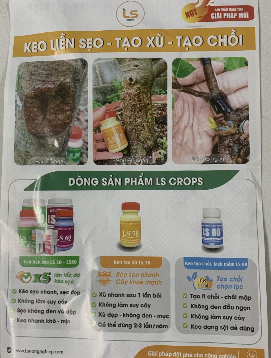 Keo liền da cây trồng LS50 - LS60 - LS70 chăm sóc cây trồng
