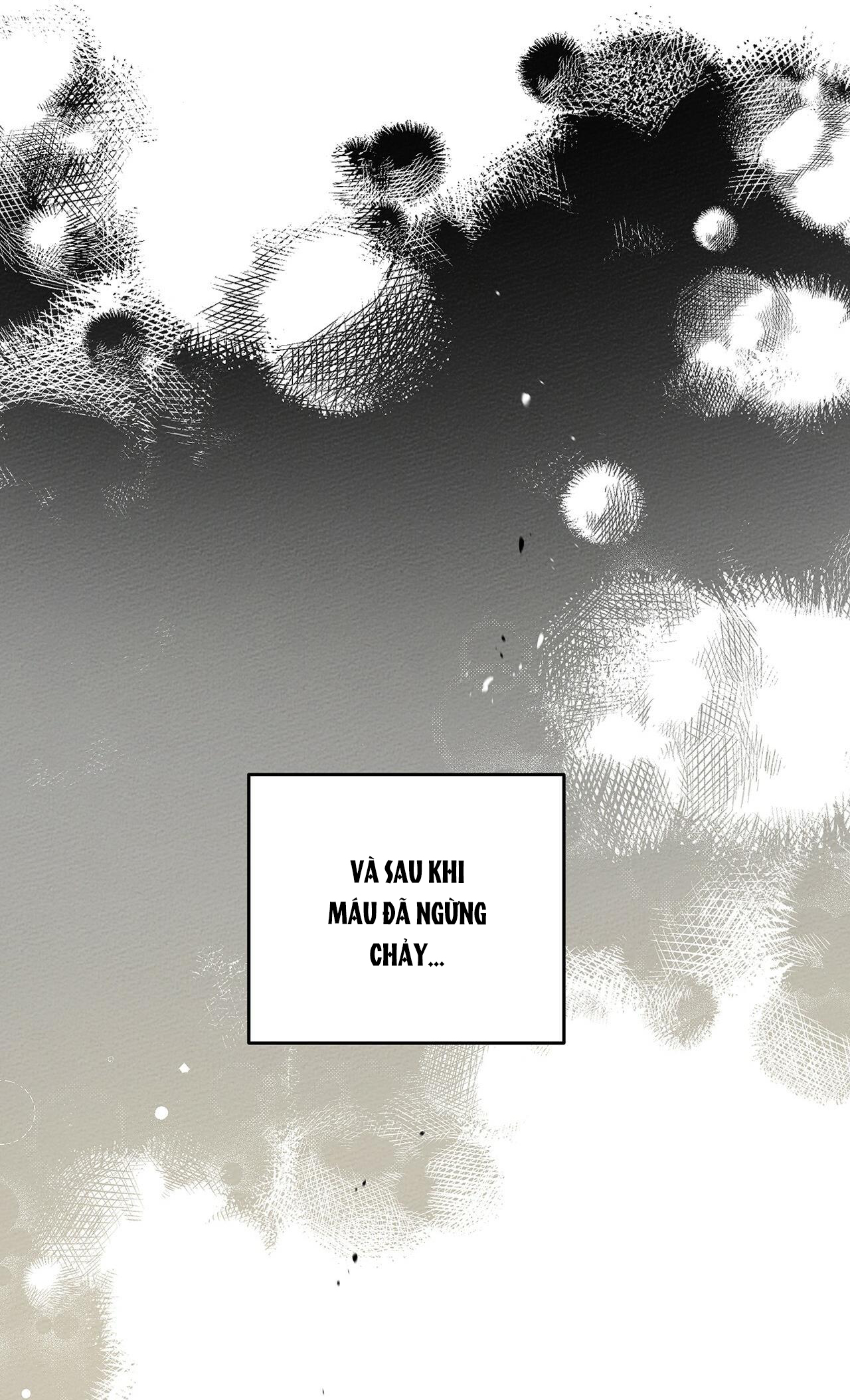 Dưới Bóng Cây Sồi chapter 39 29