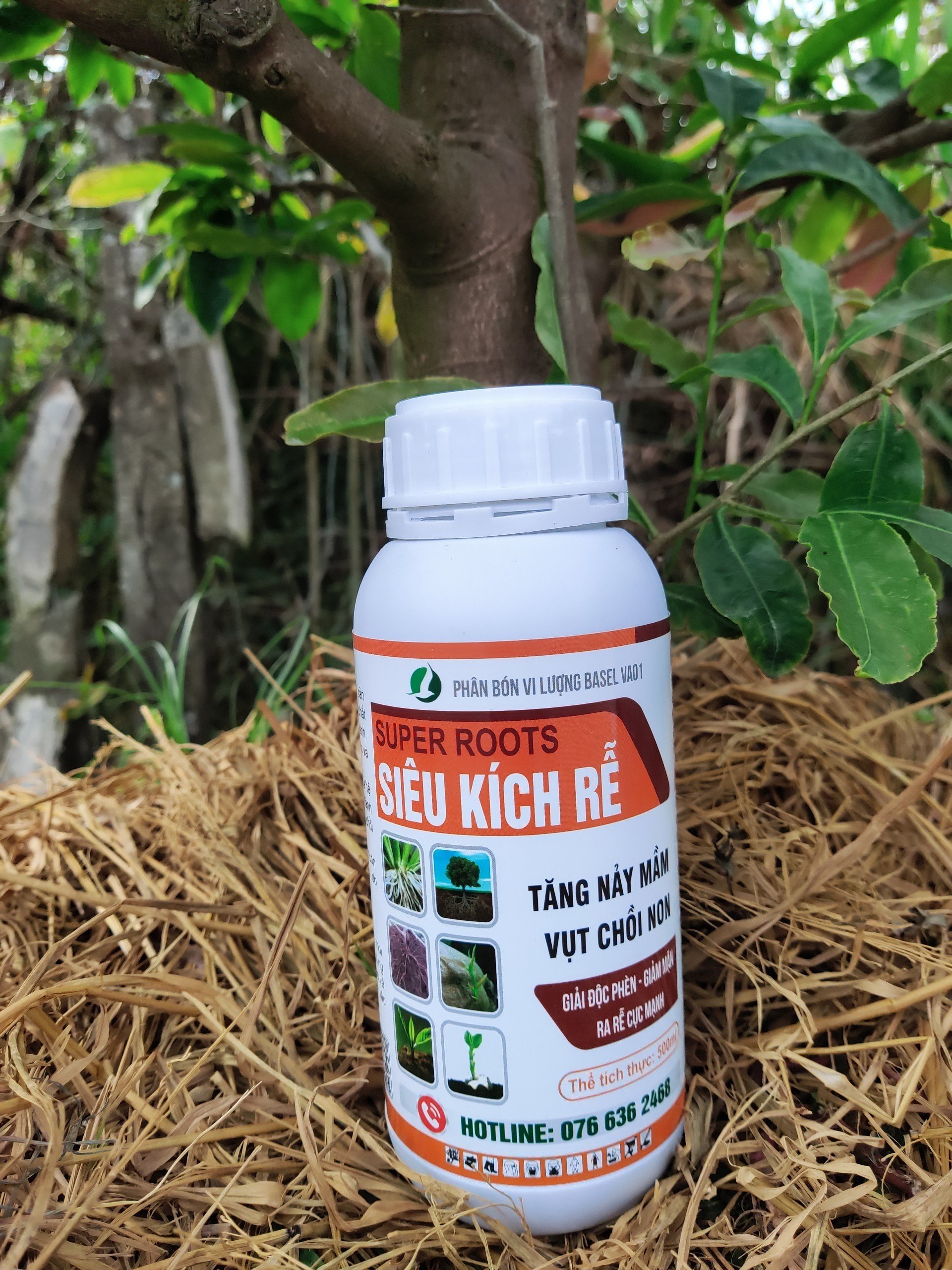 Phân bón kích rễ SIÊU KÍCH RỄ 500ML