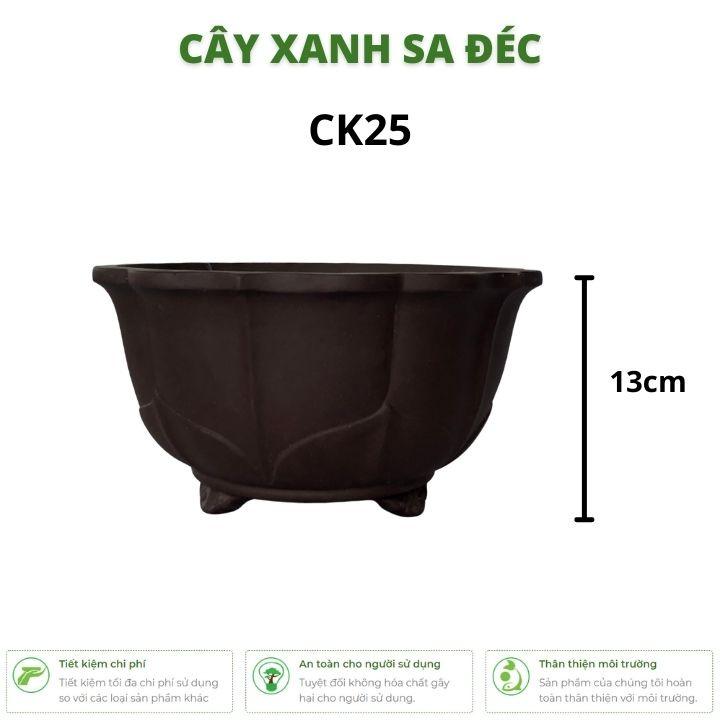 Chậu tròn miệng hoa sen CK25 điểm nhấn tinh tế cho ngôi nhà, chỗ làm việc, trang trí phòng khách