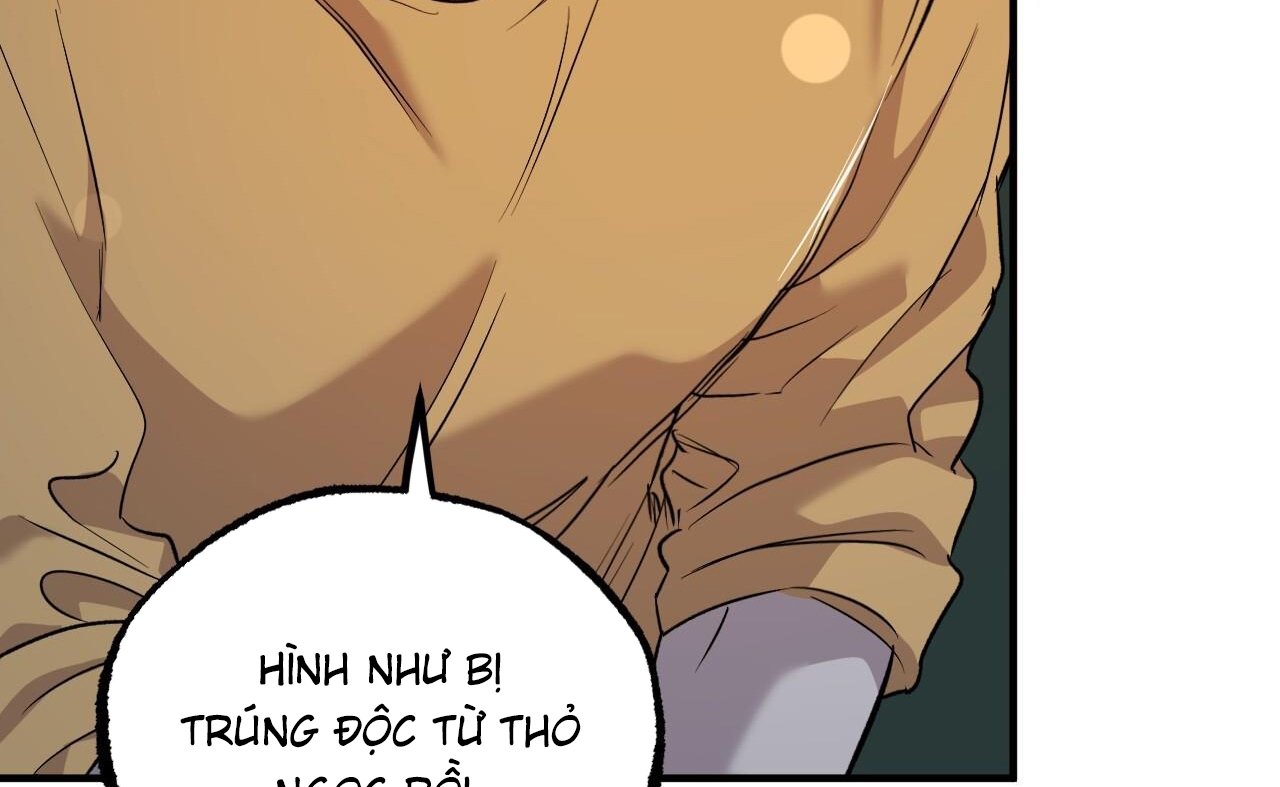 những chú thỏ của hapypy chapter 58 226