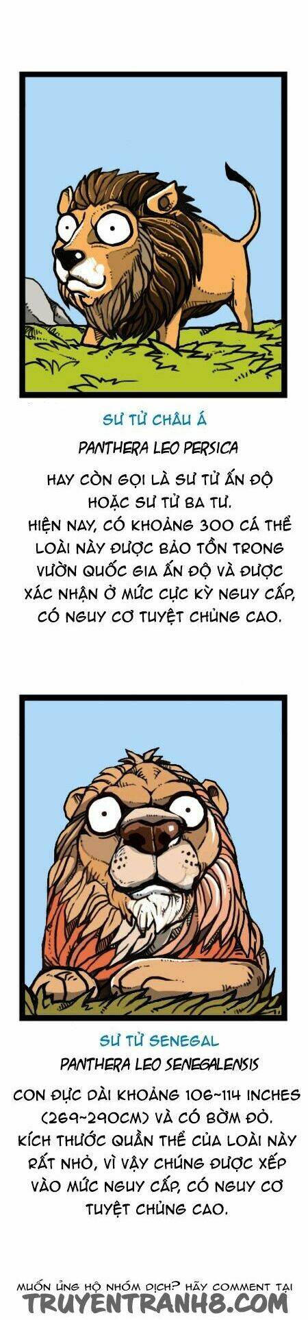 earth, human, and animal chapter 27 15