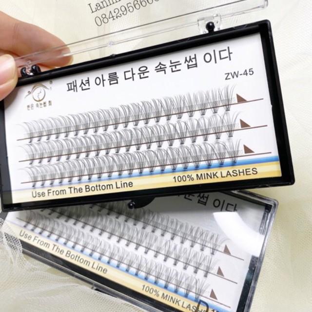 Mi chùm Hàn Quốc Cong D Eyelash Supply HOT