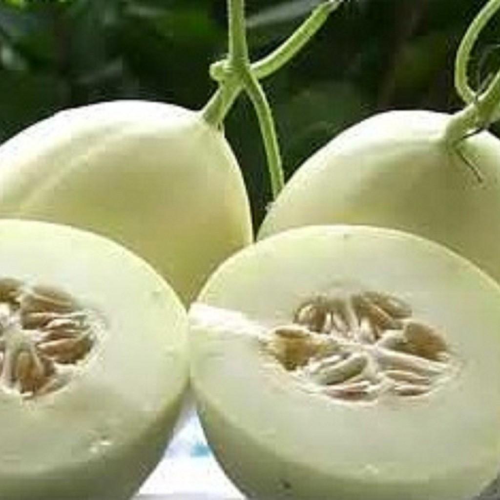 Hạt giống dưa lê bạch tuyết - 1 gói 20 hạt