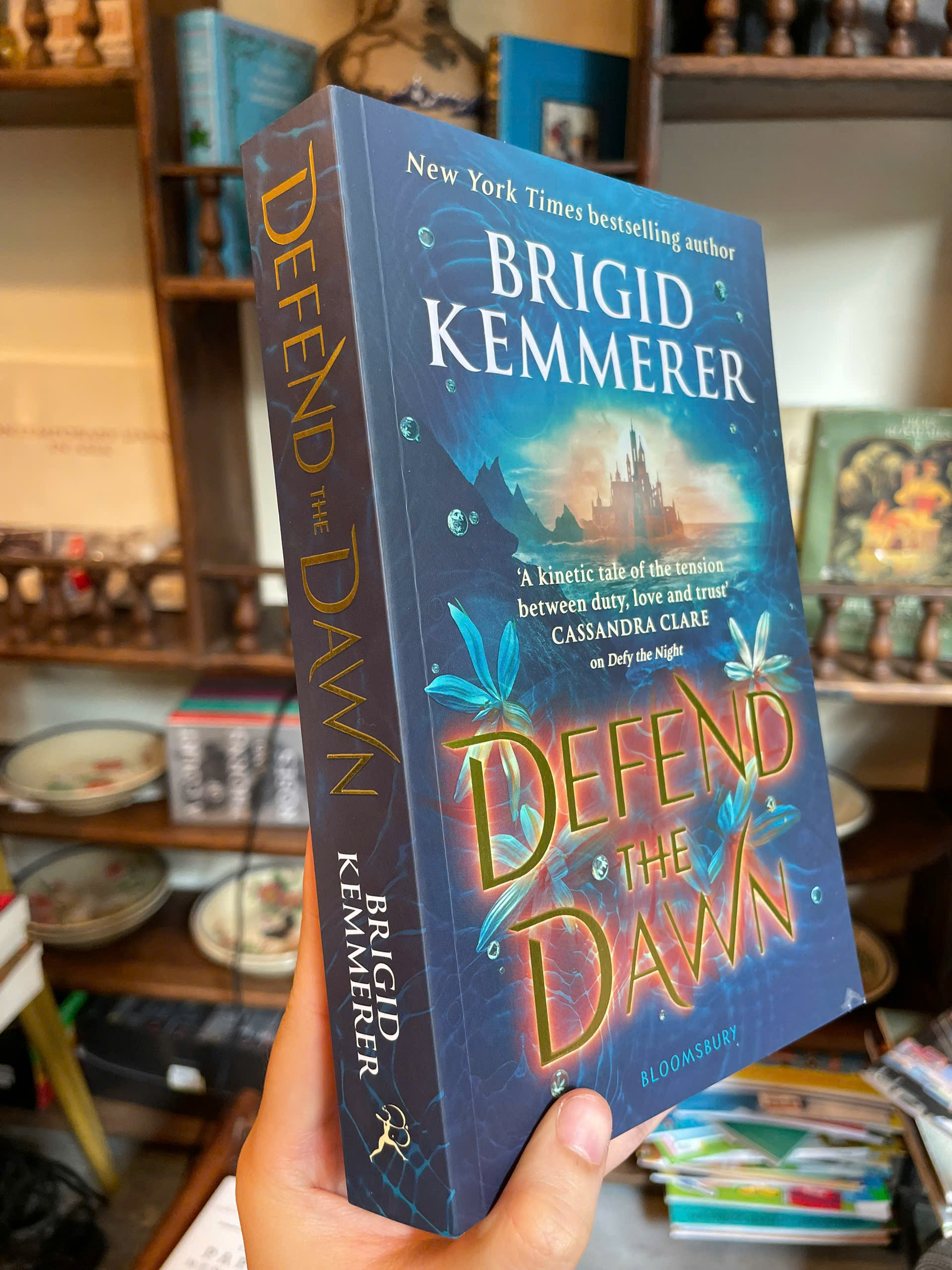 Sách - Defend the Dawn Book #2 from the series Defy the Night by Brigid Kemmerer | Fantasy Fiction