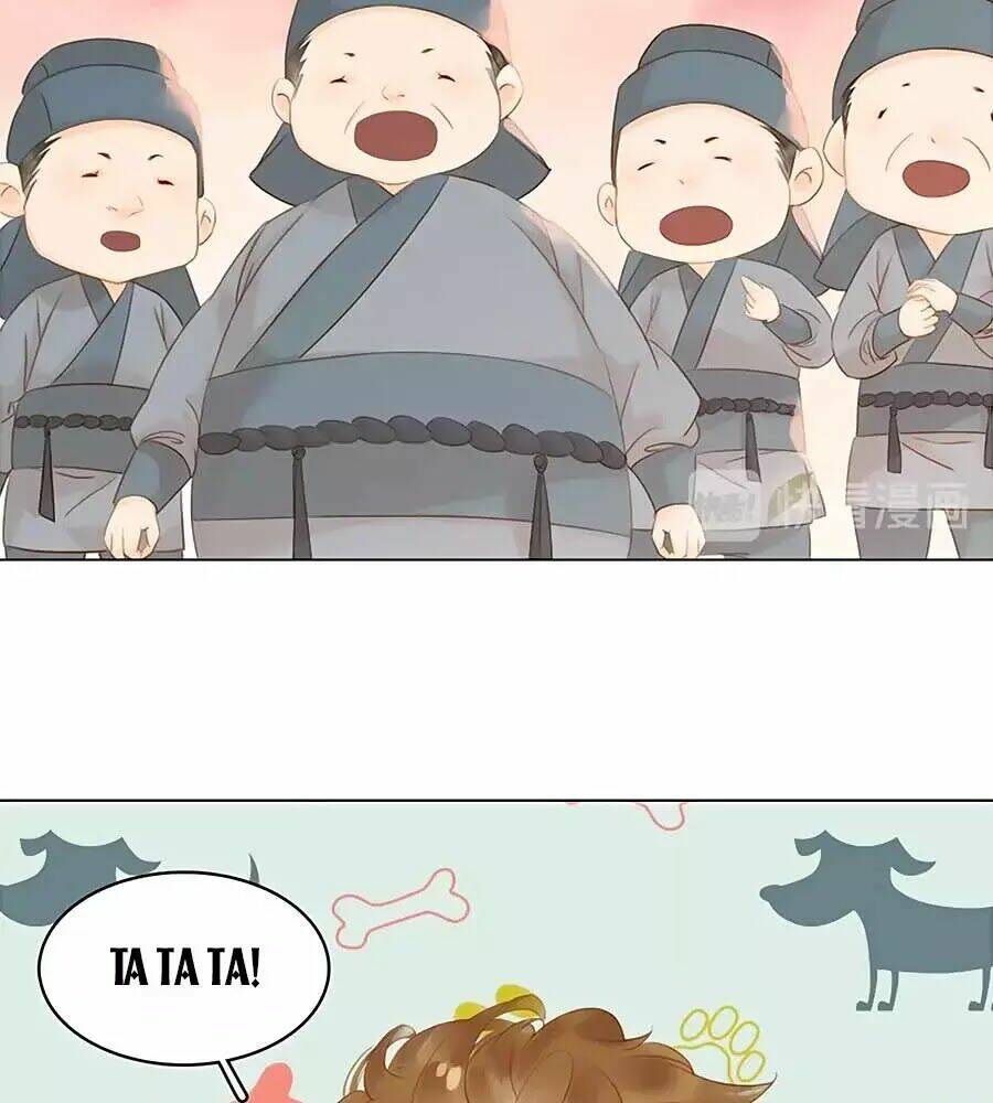 tiểu sư phụ, tóc giả của ngài rơi rồi! chapter 19 72