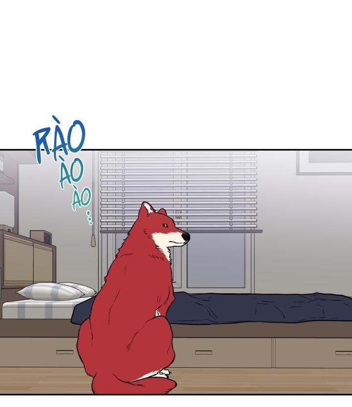 gâu gâu! chapter 19 23